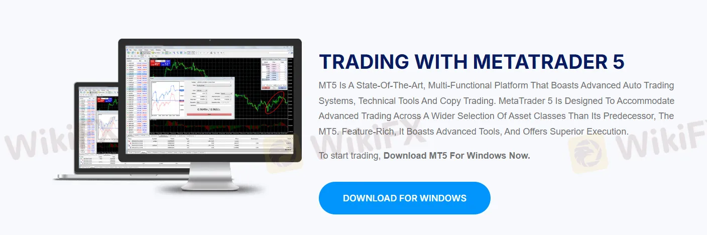 MT5 platform
