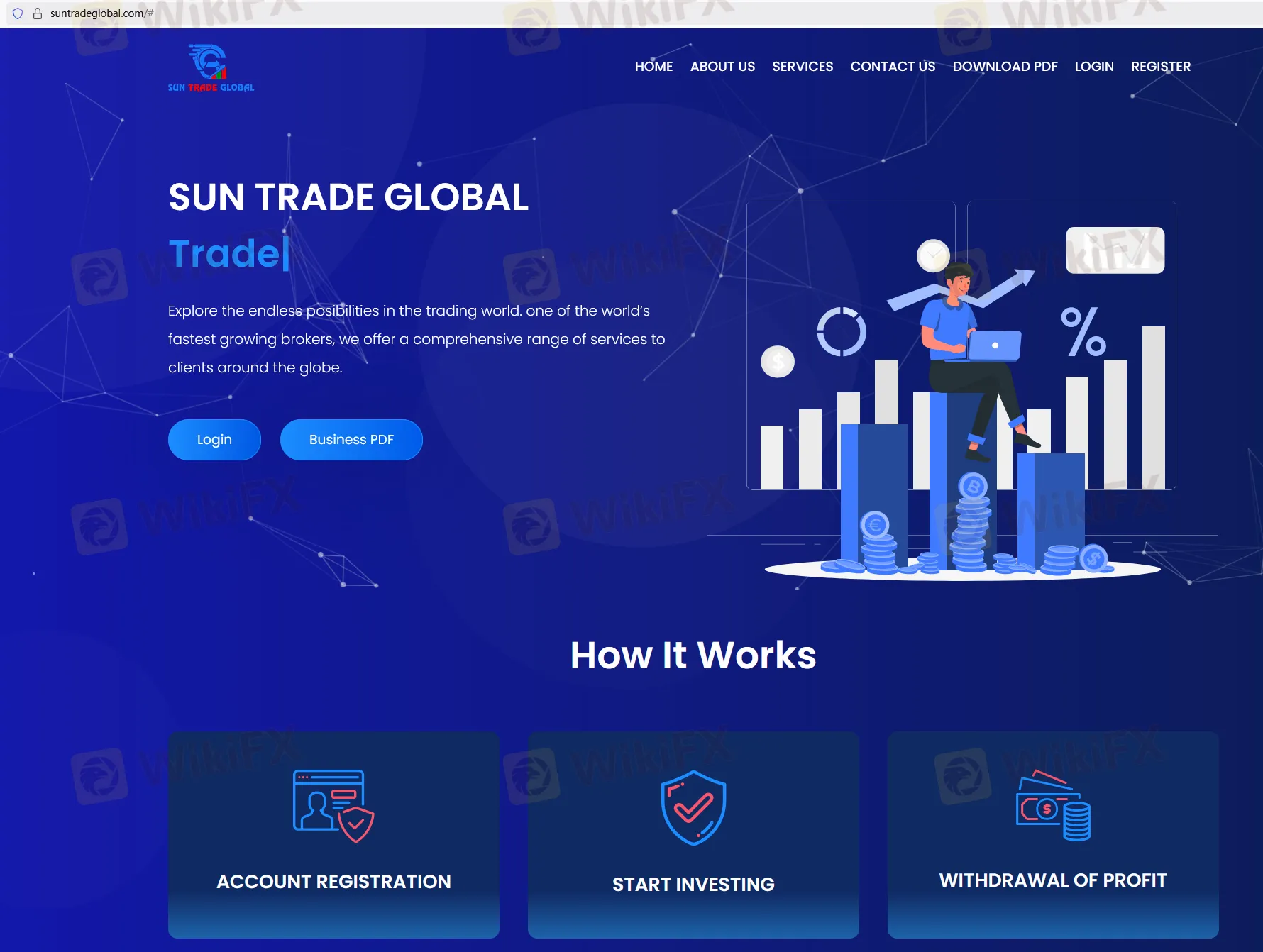 SUN TRADE GLOBAL Information