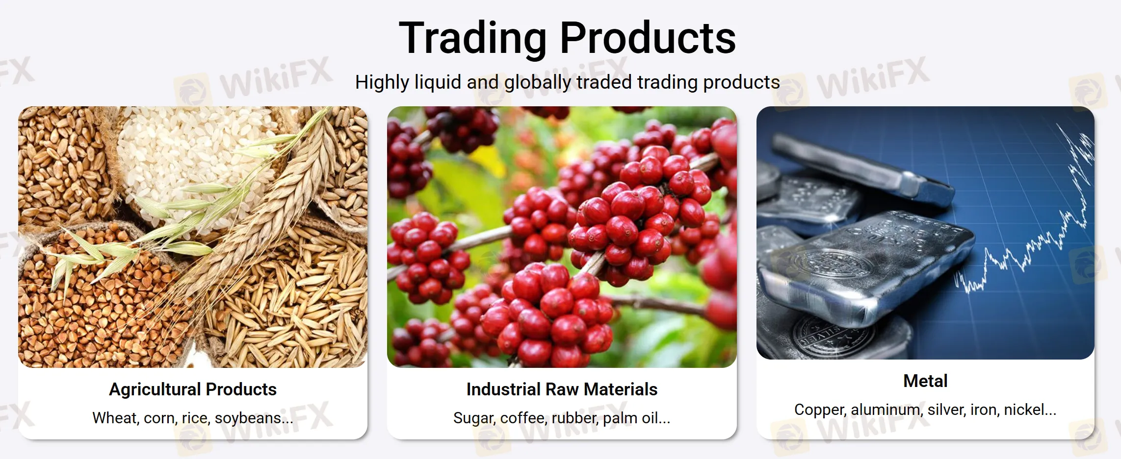 What Can I Trade on SAIGON FUTURES? What Can I Trade on SAIGON FUTURES?