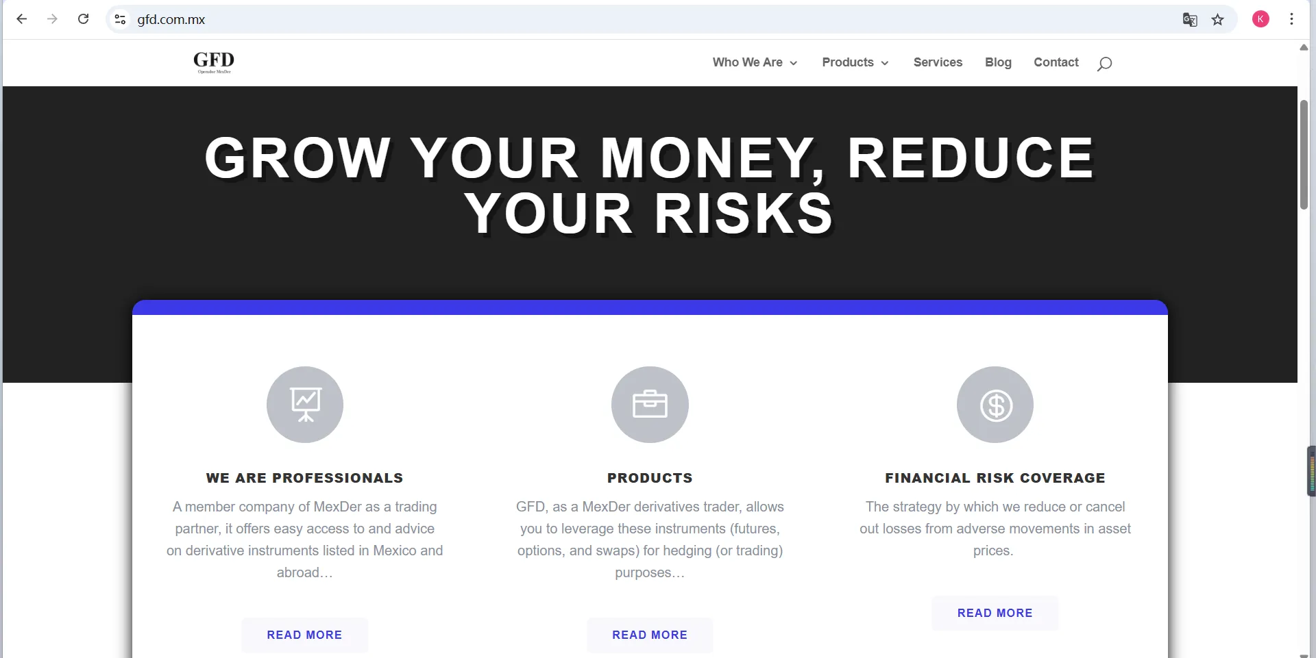 GFD's homepage