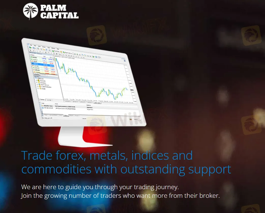 What Can I Trade on Palm Capital?