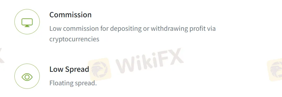 Trade Magic Fees Trade Magic Fees