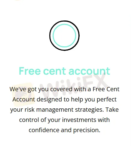 Account Type