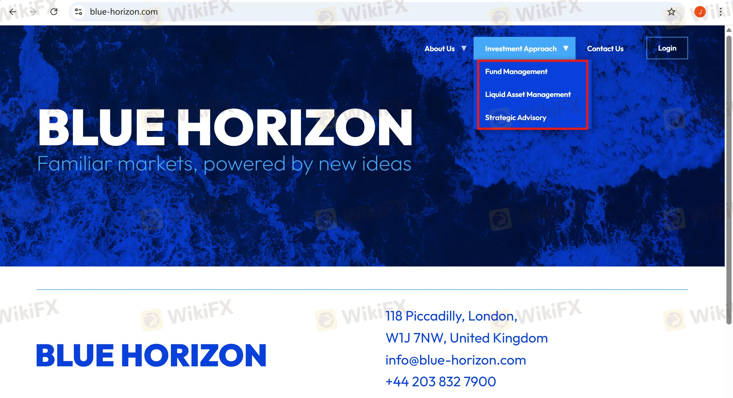 BLUE HORIZON Services BLUE HORIZON Services