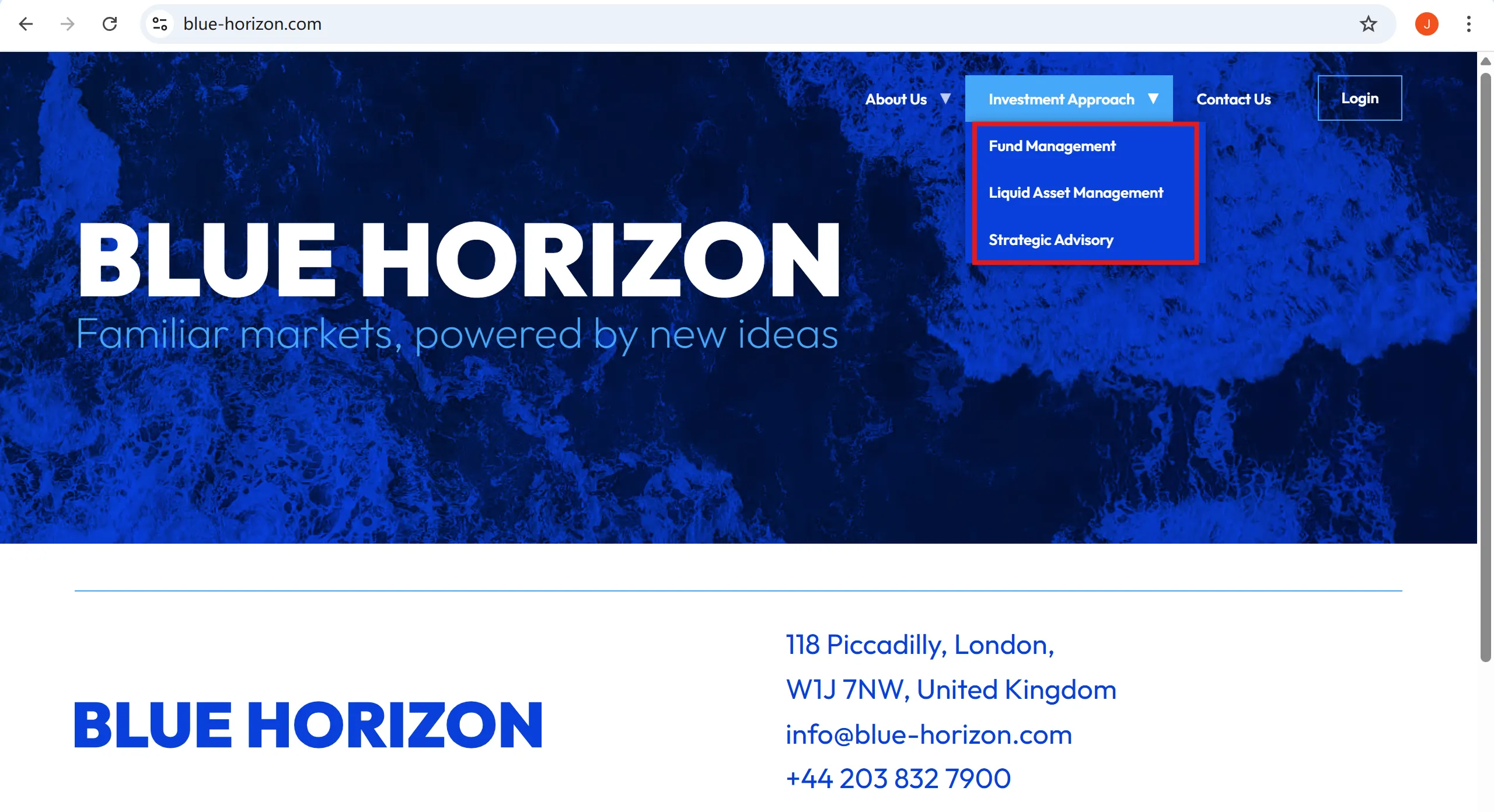 BLUE HORIZON Services BLUE HORIZON Services
