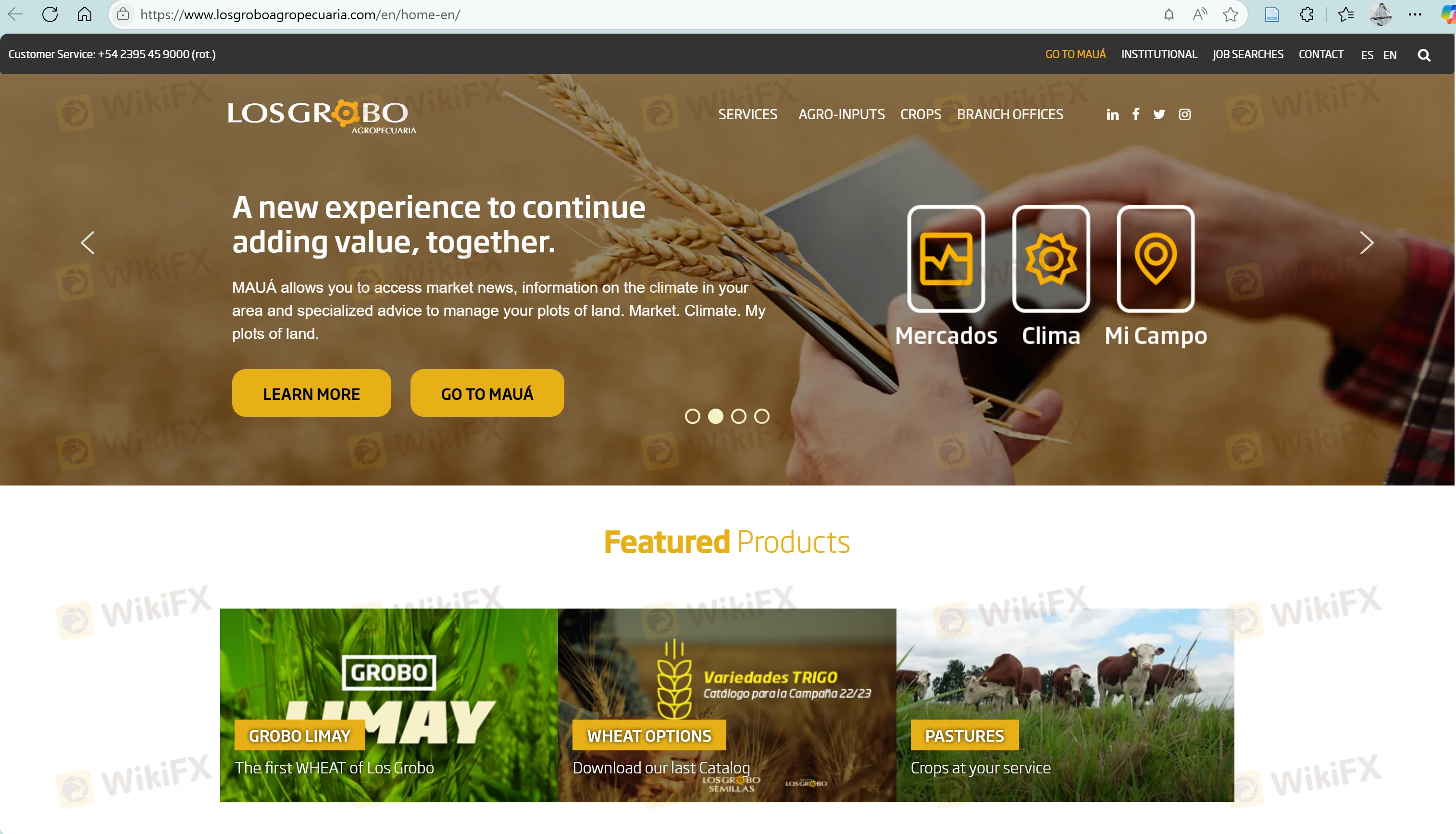 Los Grobo's homepage Los Grobo's homepage