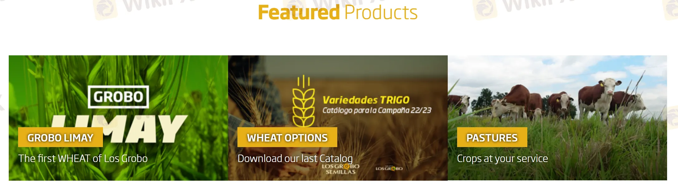 What Can I Trade on Los Grobo? What Can I Trade on Los Grobo?