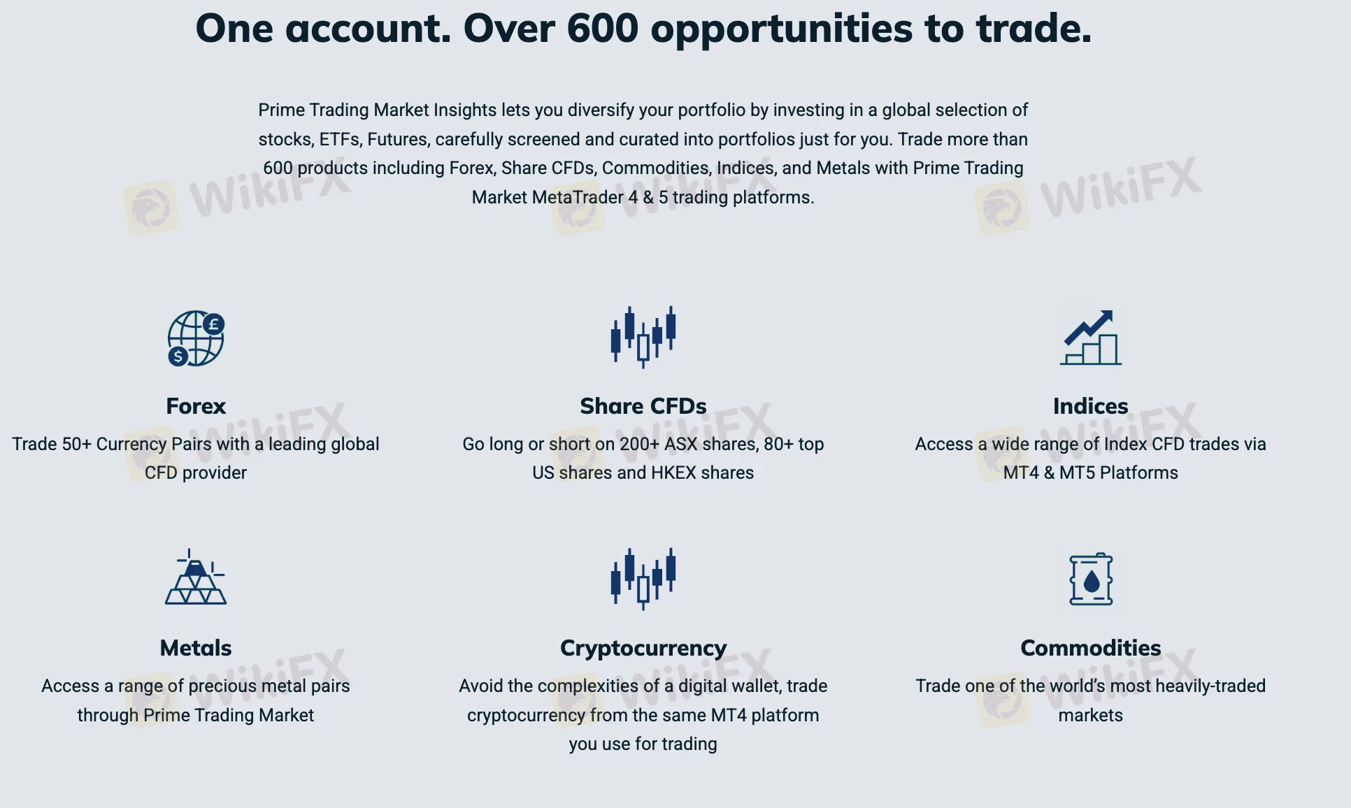 Prime Trading Market에서 무엇을 거래할 수 있나요?