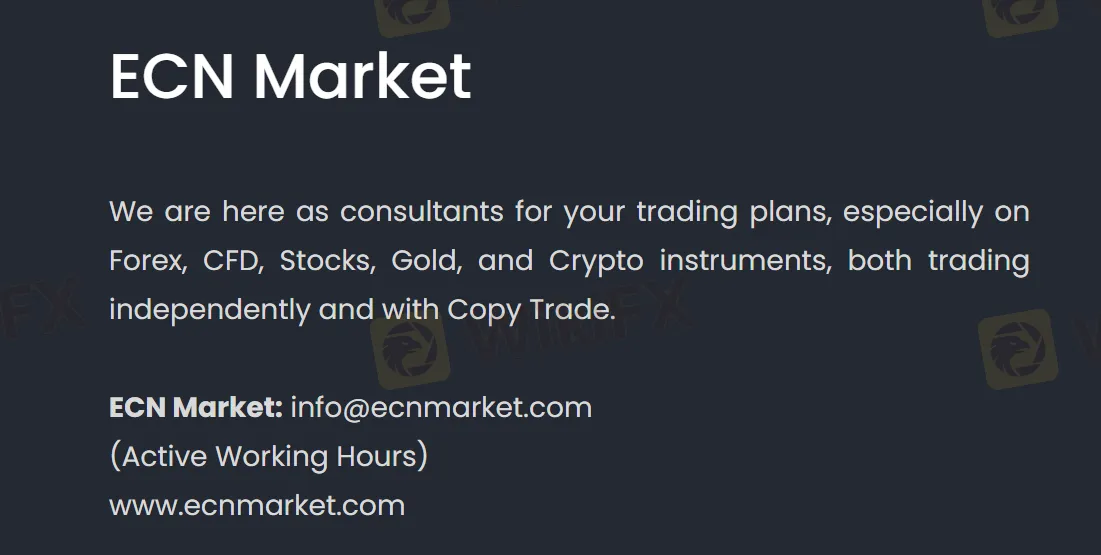 What Can I Trade on ECN Market? What Can I Trade on ECN Market?