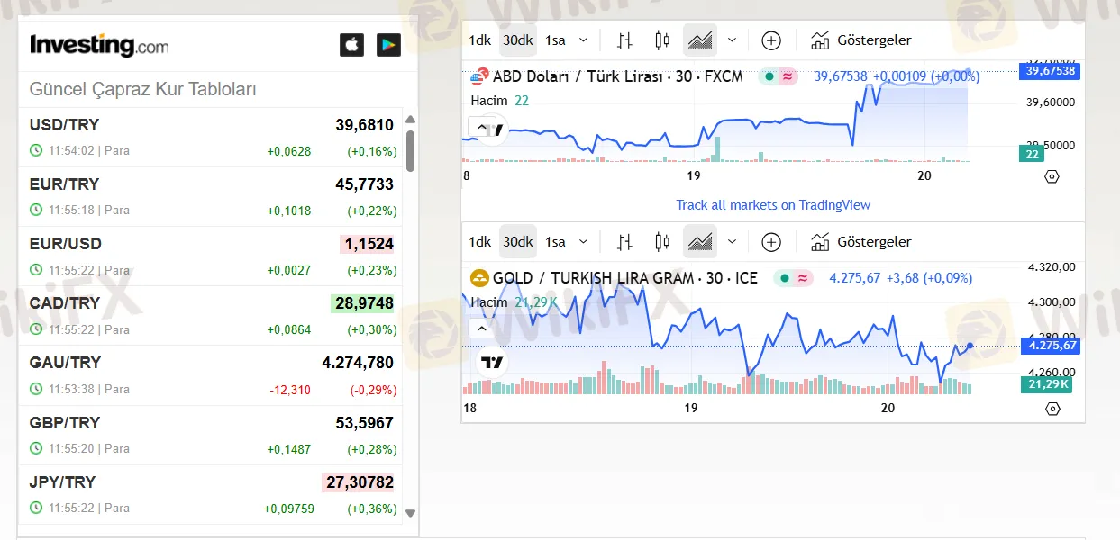Yıldız通貨グループで取引できるものは何ですか? Yıldız通貨グループで取引できるものは何ですか?