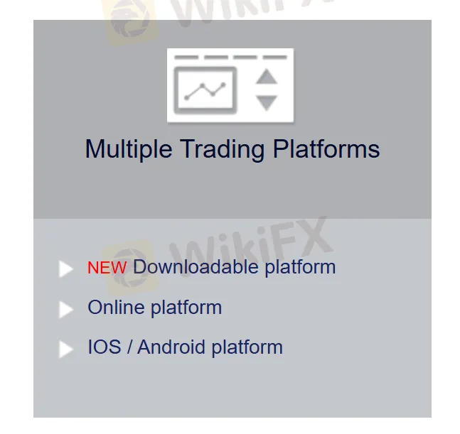 Plataforma OptionWeb