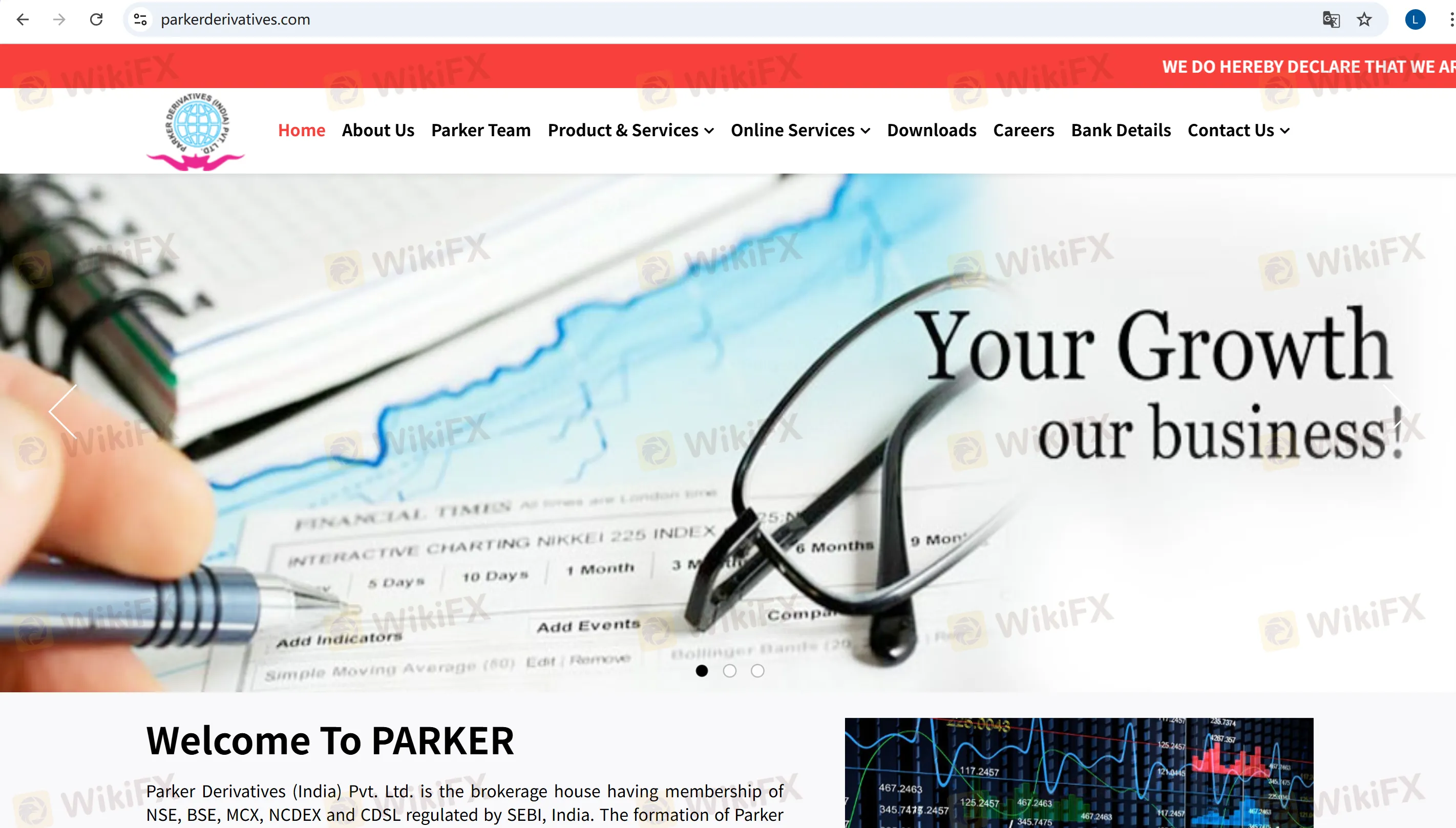 Parker Derivatives Information