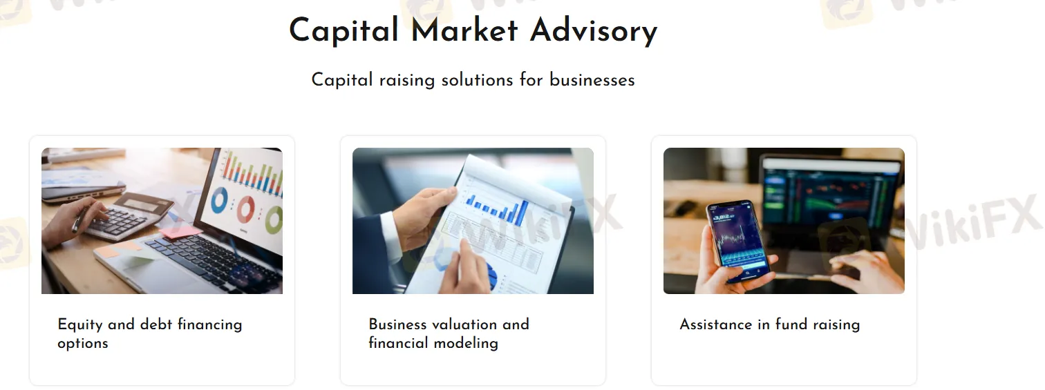 Capital Market Advisory Capital Market Advisory