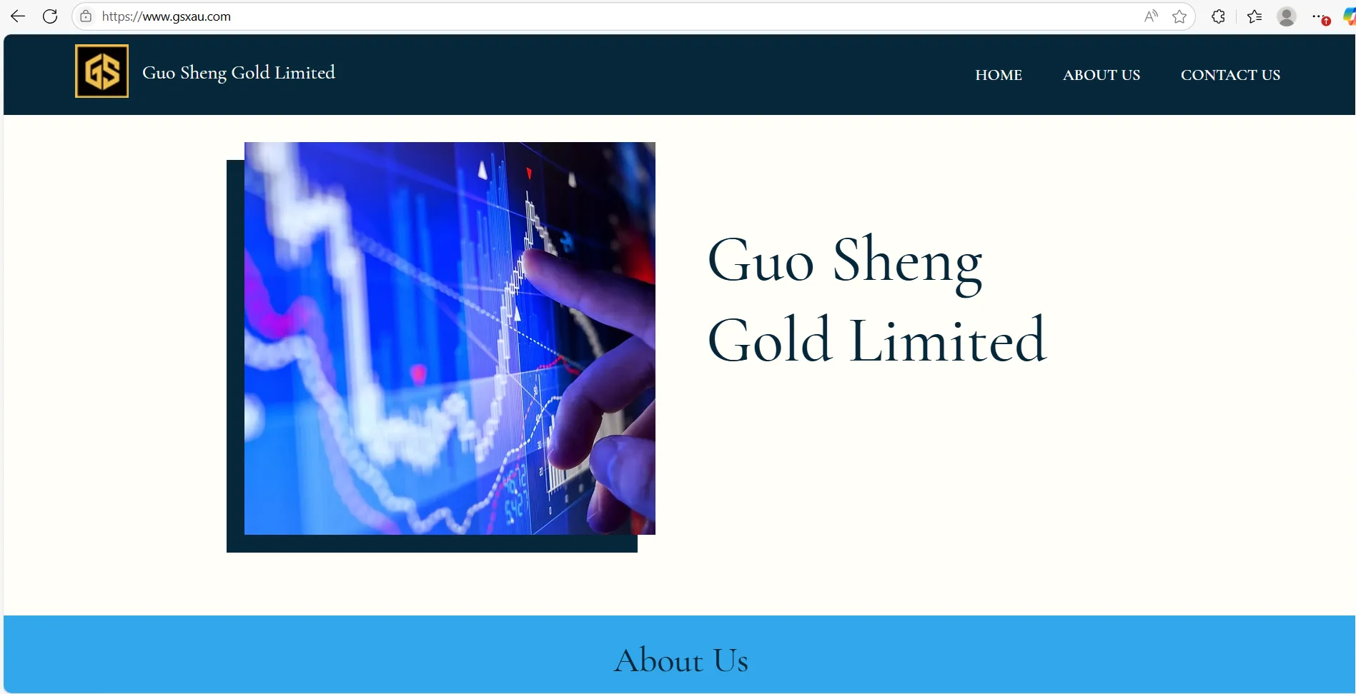GSGOLD Informationen GSGOLD Information