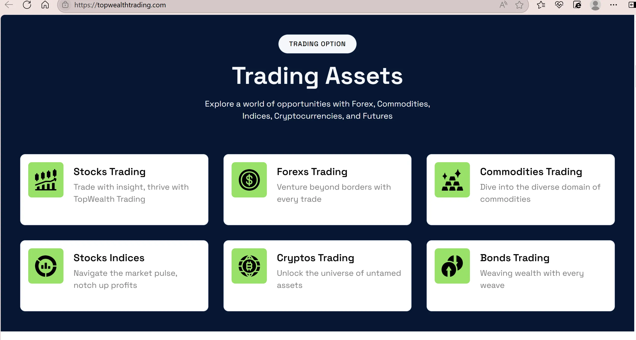 assets assets