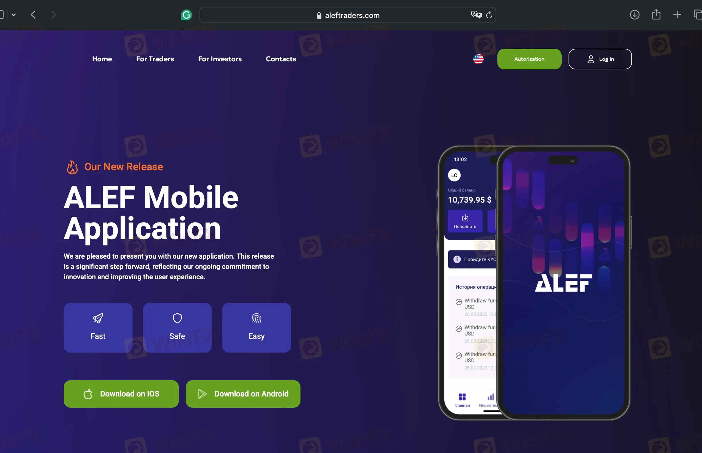 ALEF 情報