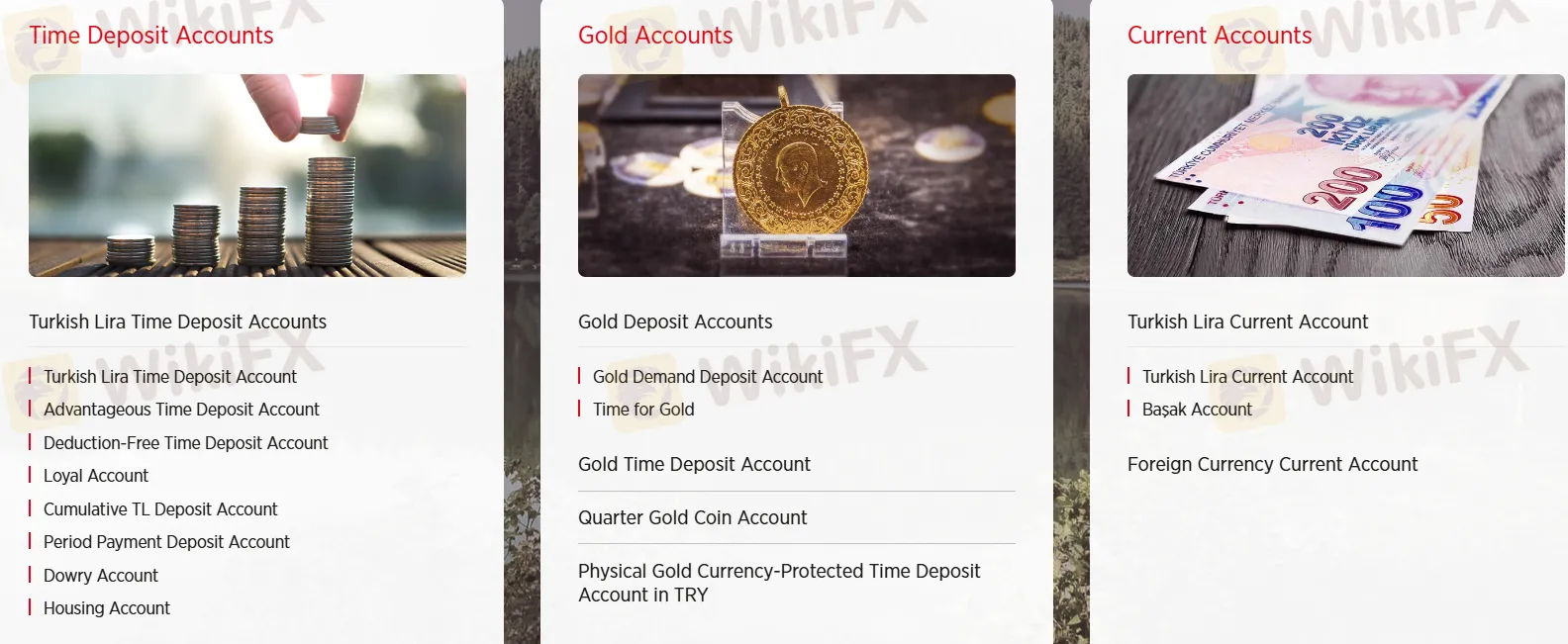 Tipos de Cuenta Tipos de Cuenta