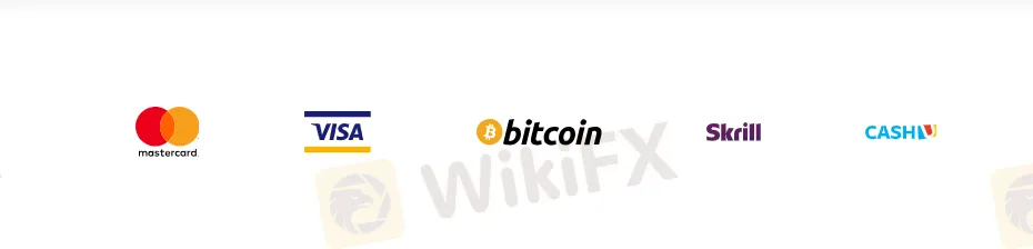 支付选项