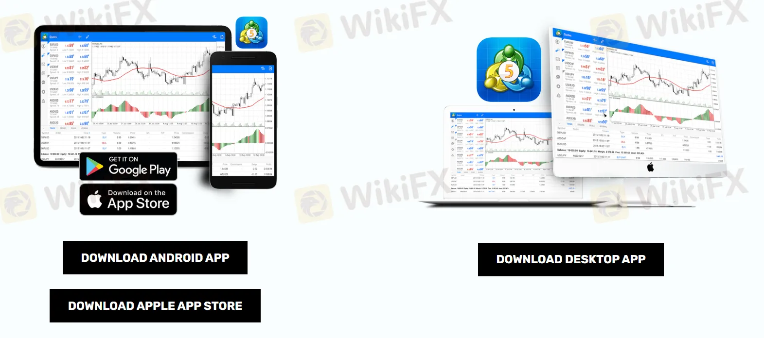 MT5-Plattform MT5-Plattform