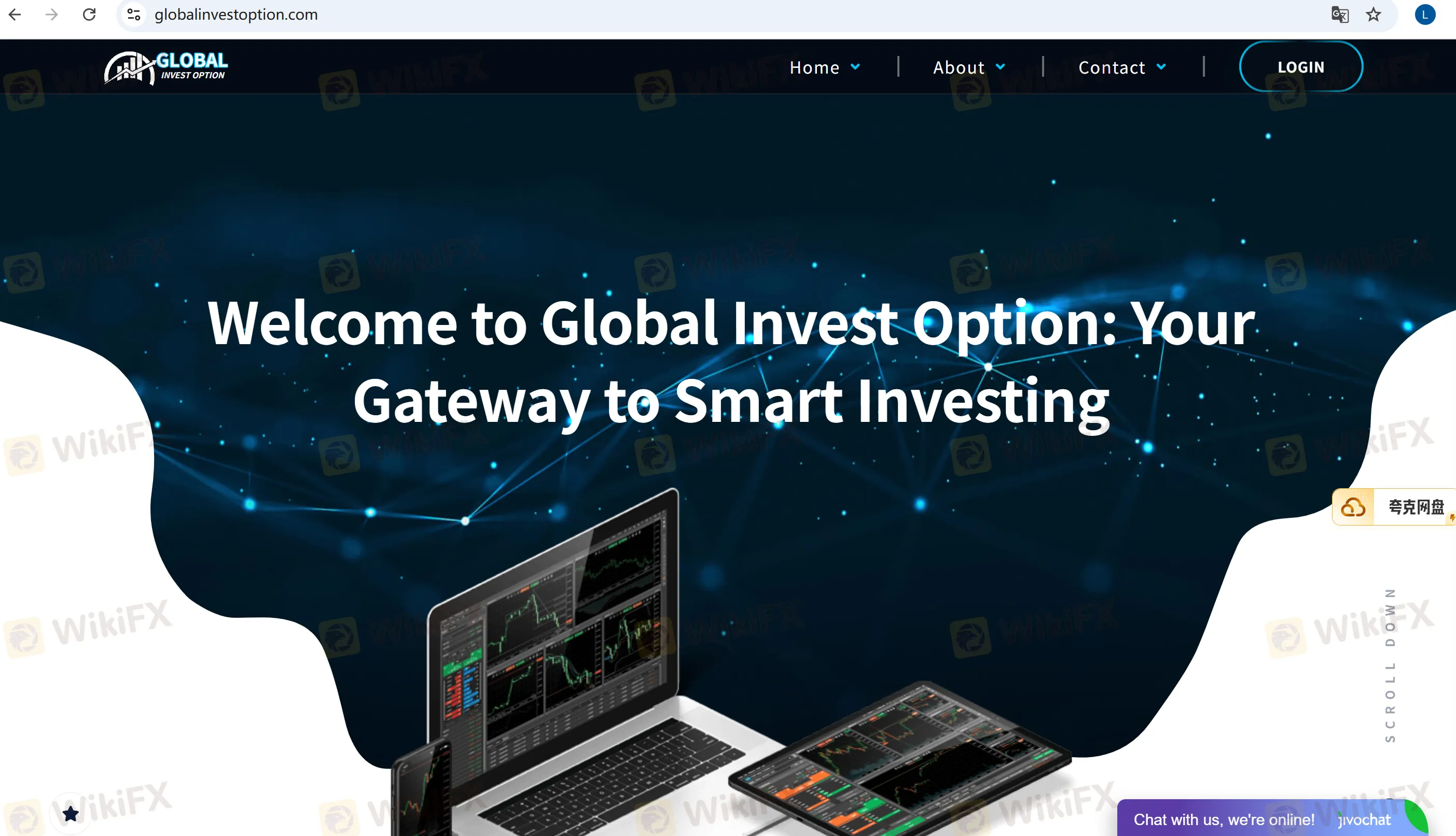 Global Invest Option 的主頁