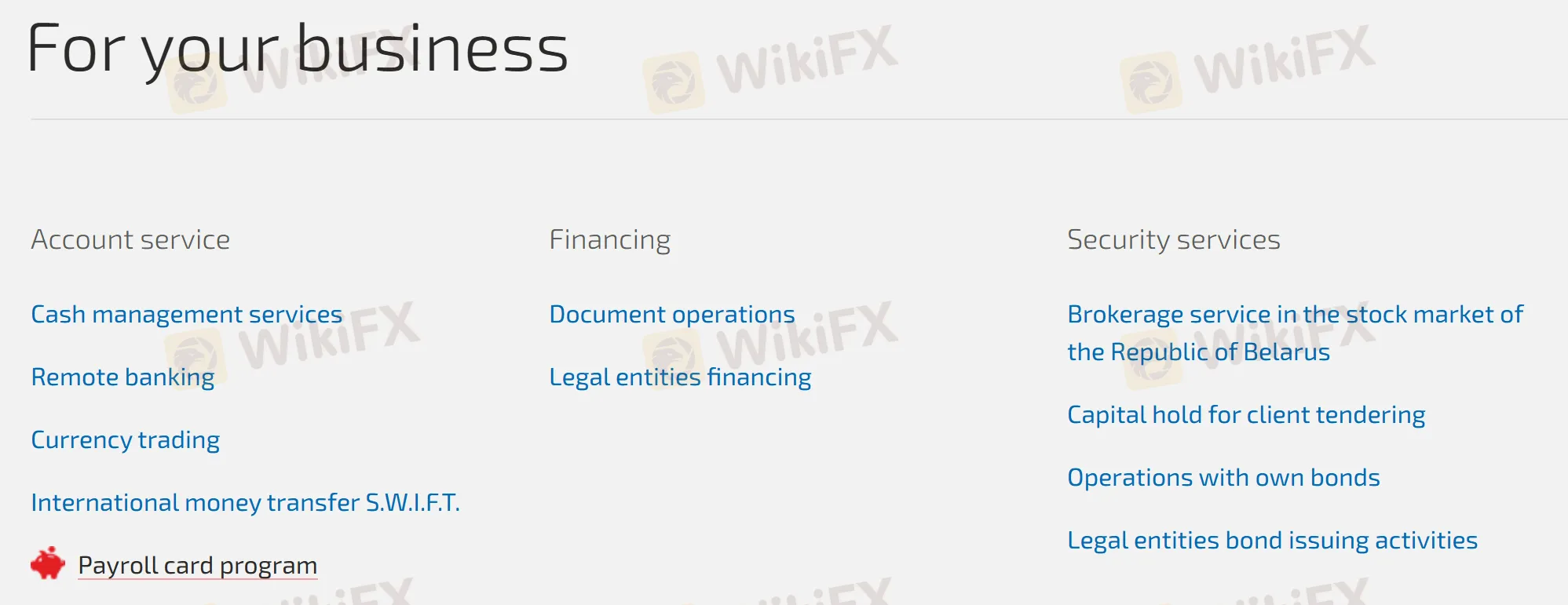 为您的企业提供的服务