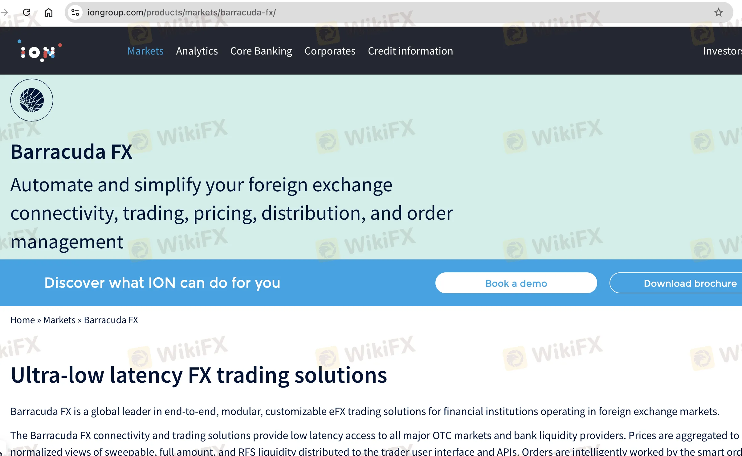 BARRACUDA FX의 홈페이지 BARRACUDA FX의 홈페이지