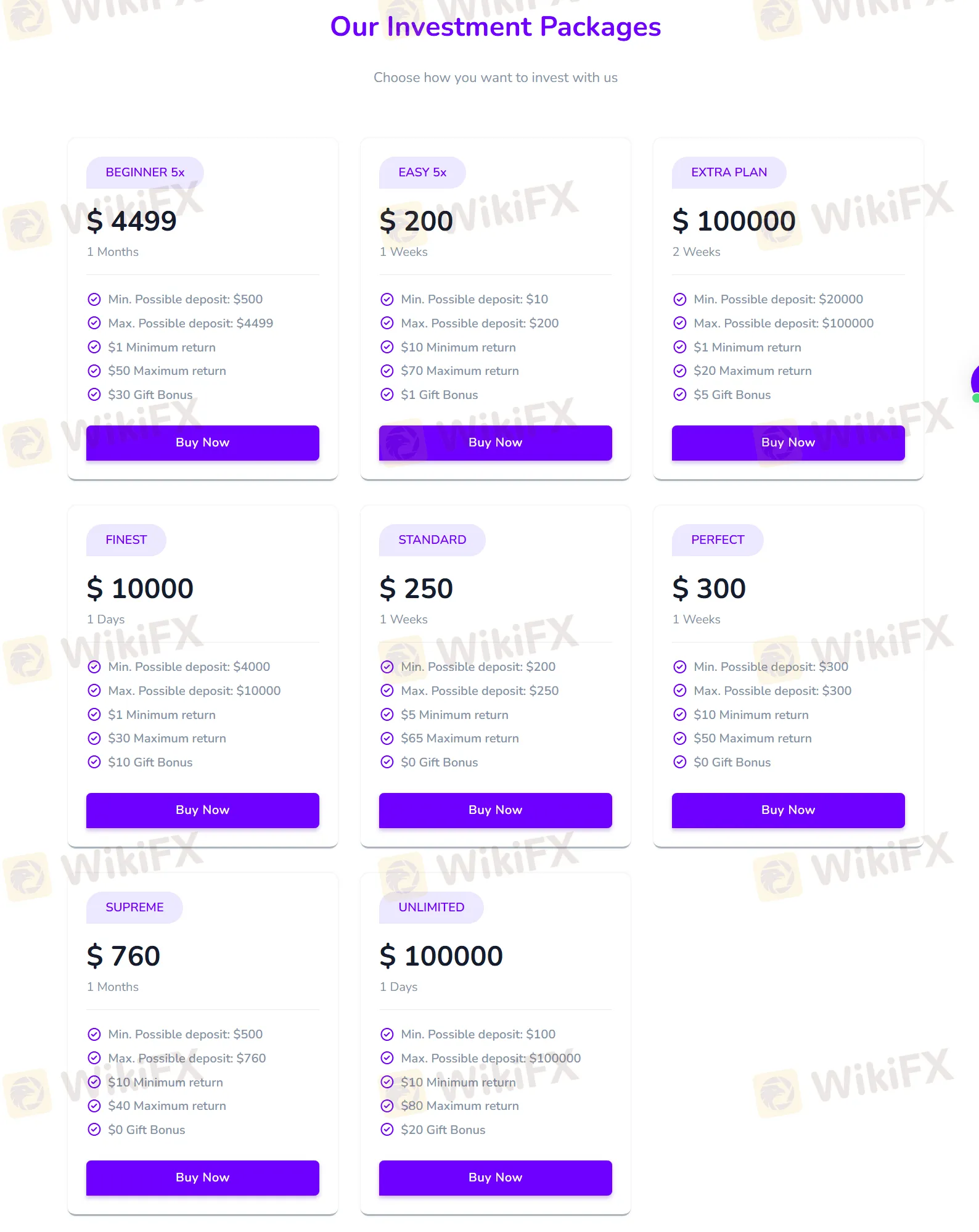 Investment Packages Investment Packages