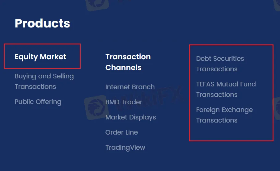 我可以在BMD上交易什么？