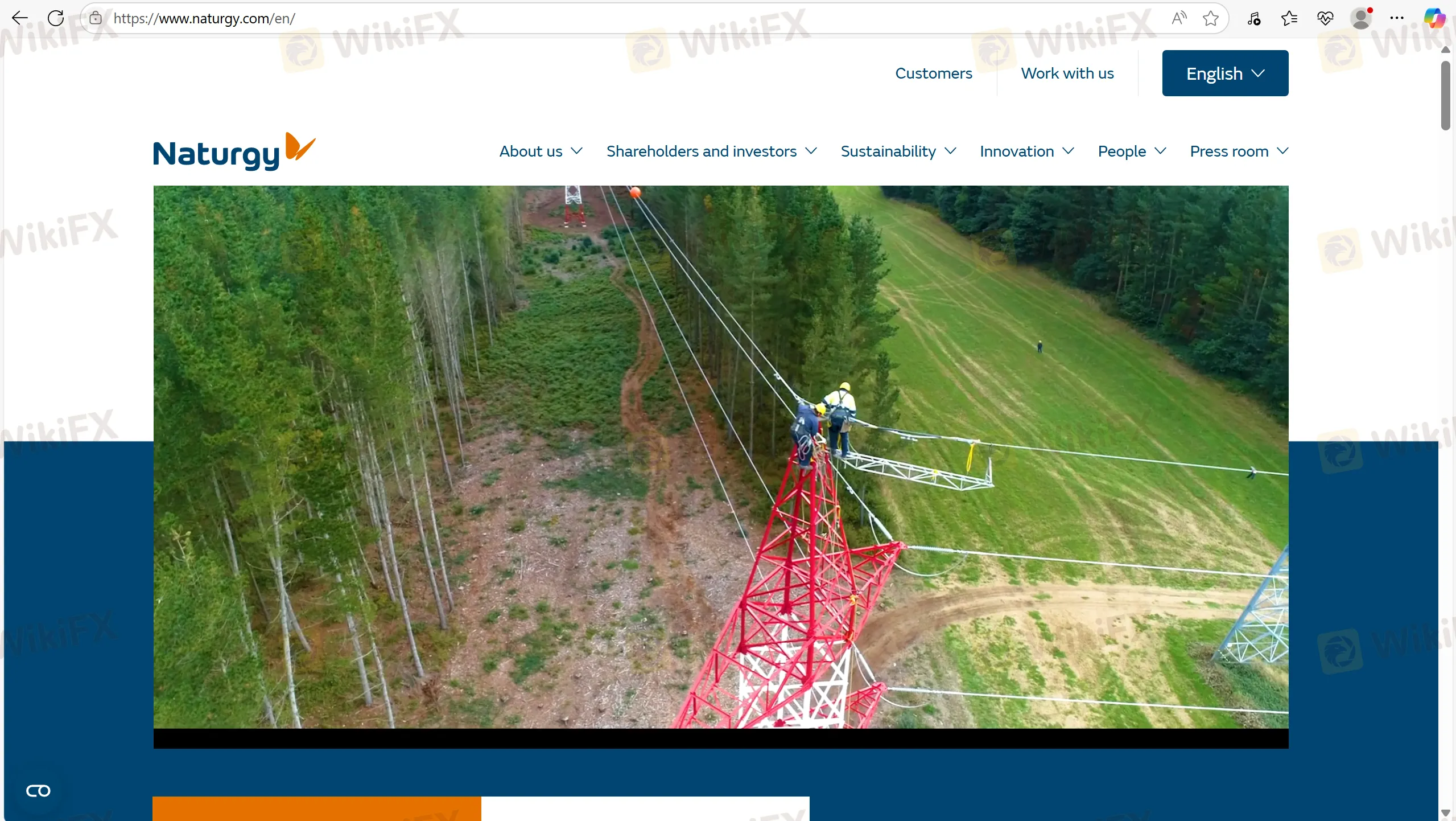 معلومات Naturgy