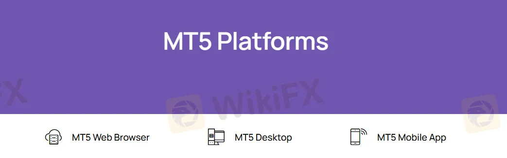 MT5