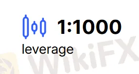 Leverage