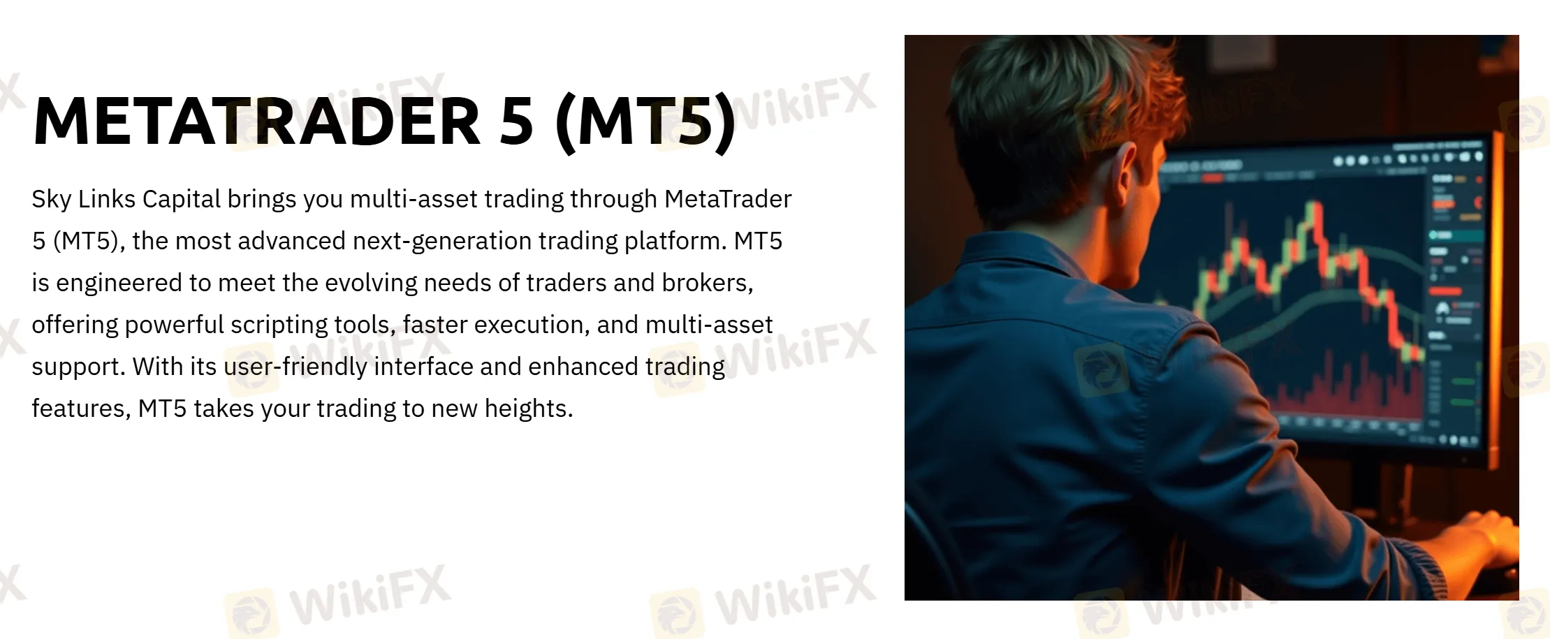 MT5