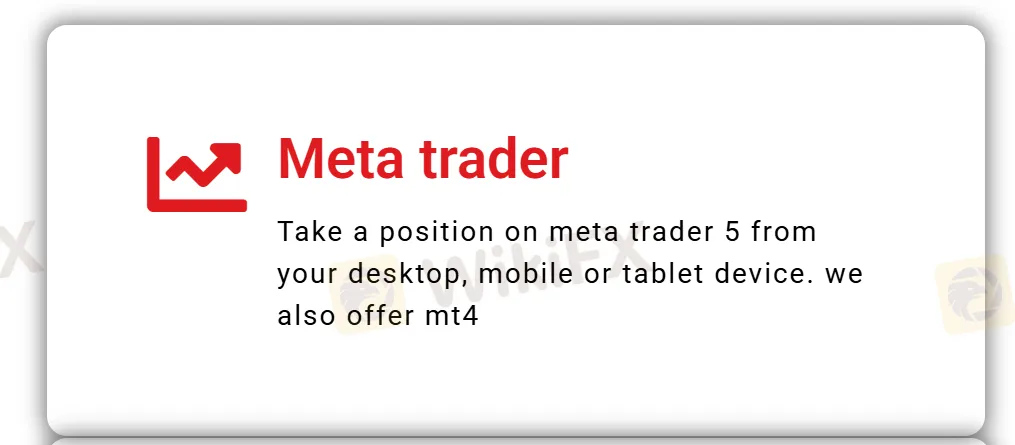 منصات MT4 و MT5