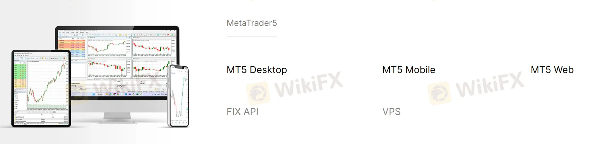 MT5