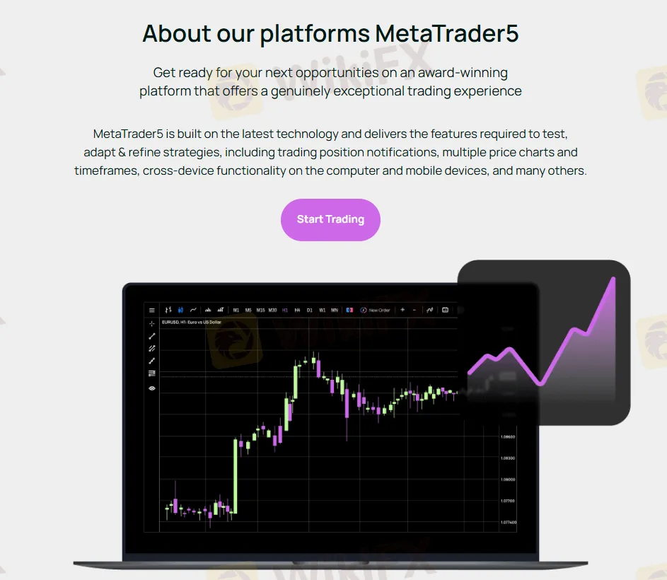 MT5 platform