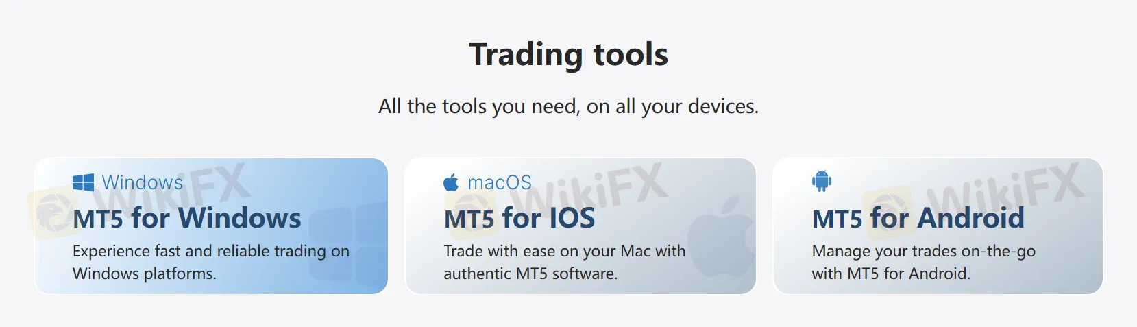 منصة MT5 منصة MT5