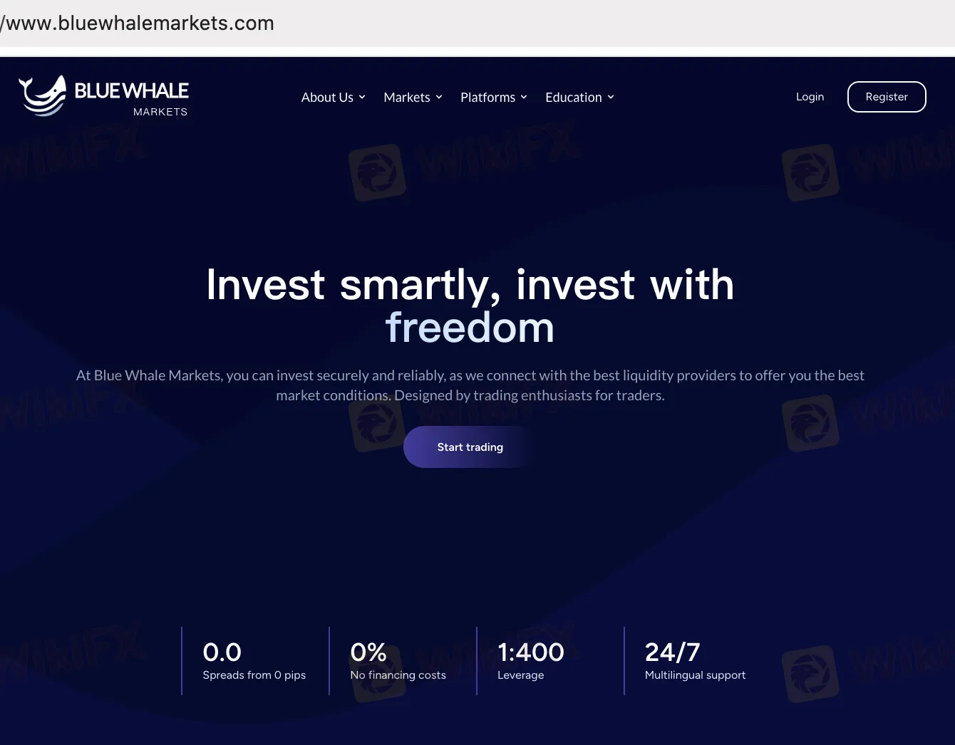 Blue Whale Markets' 홈페이지