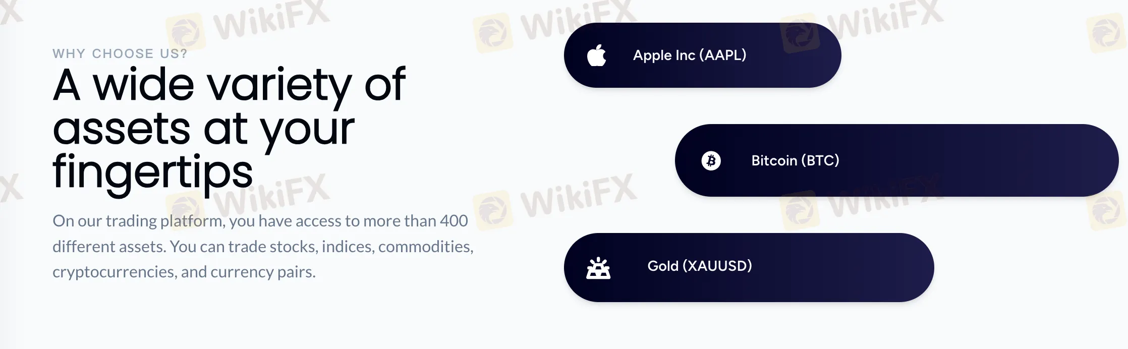 Blue Whale Markets에서 무엇을 거래할 수 있나요?