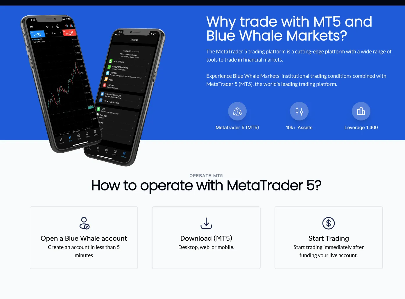 MT5