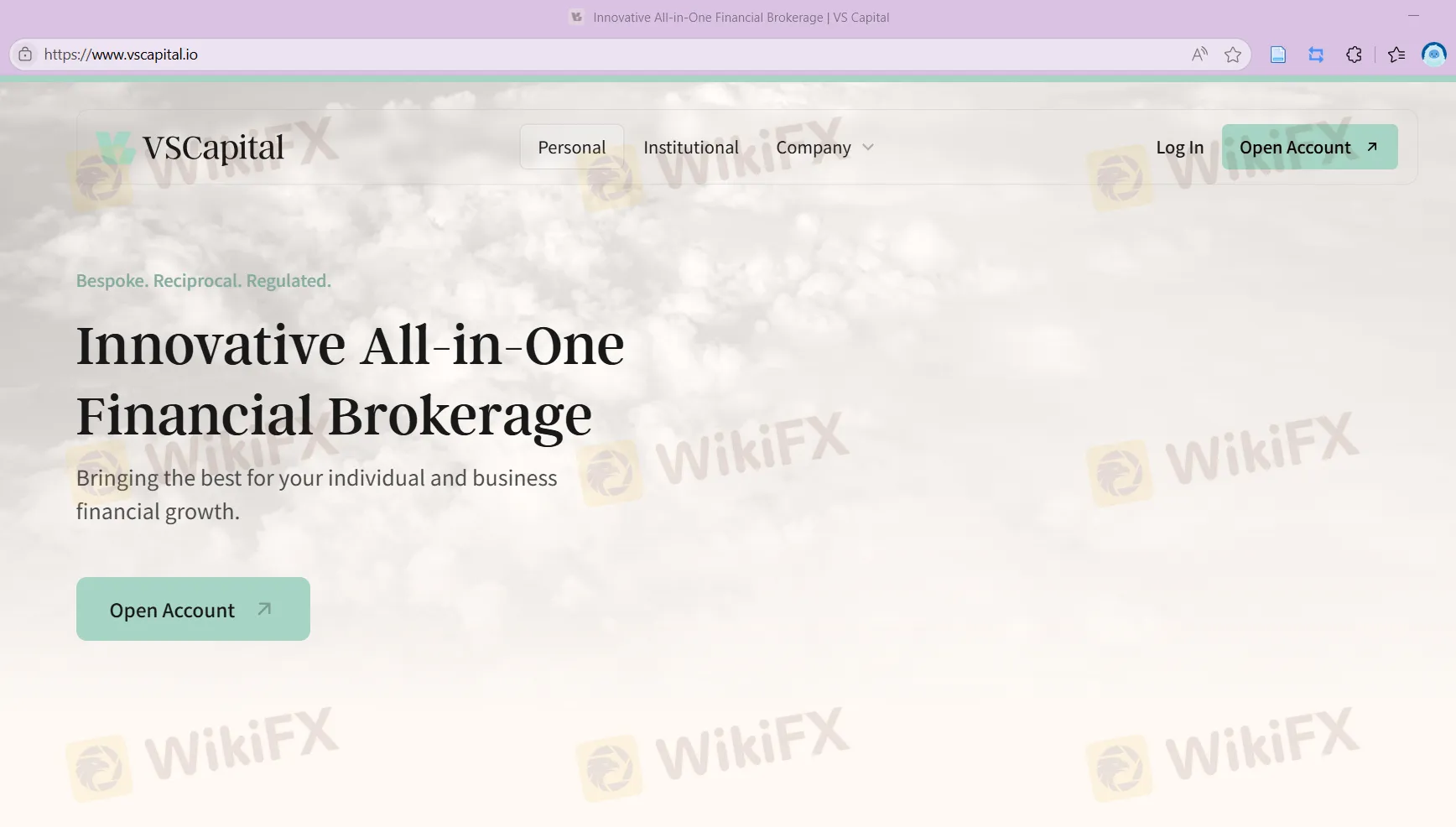 VS Capital's homepage VS Capital's homepage