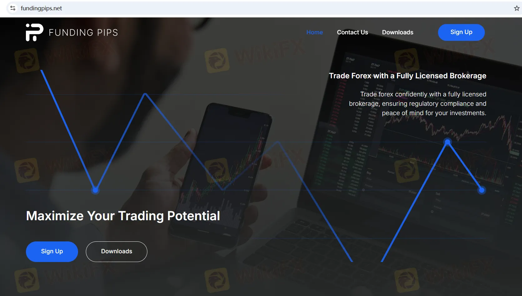 Funding Pips' homepage