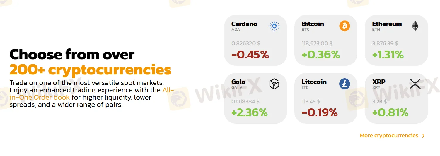 Apa yang Bisa Saya Perdagangkan di BITmarkets?