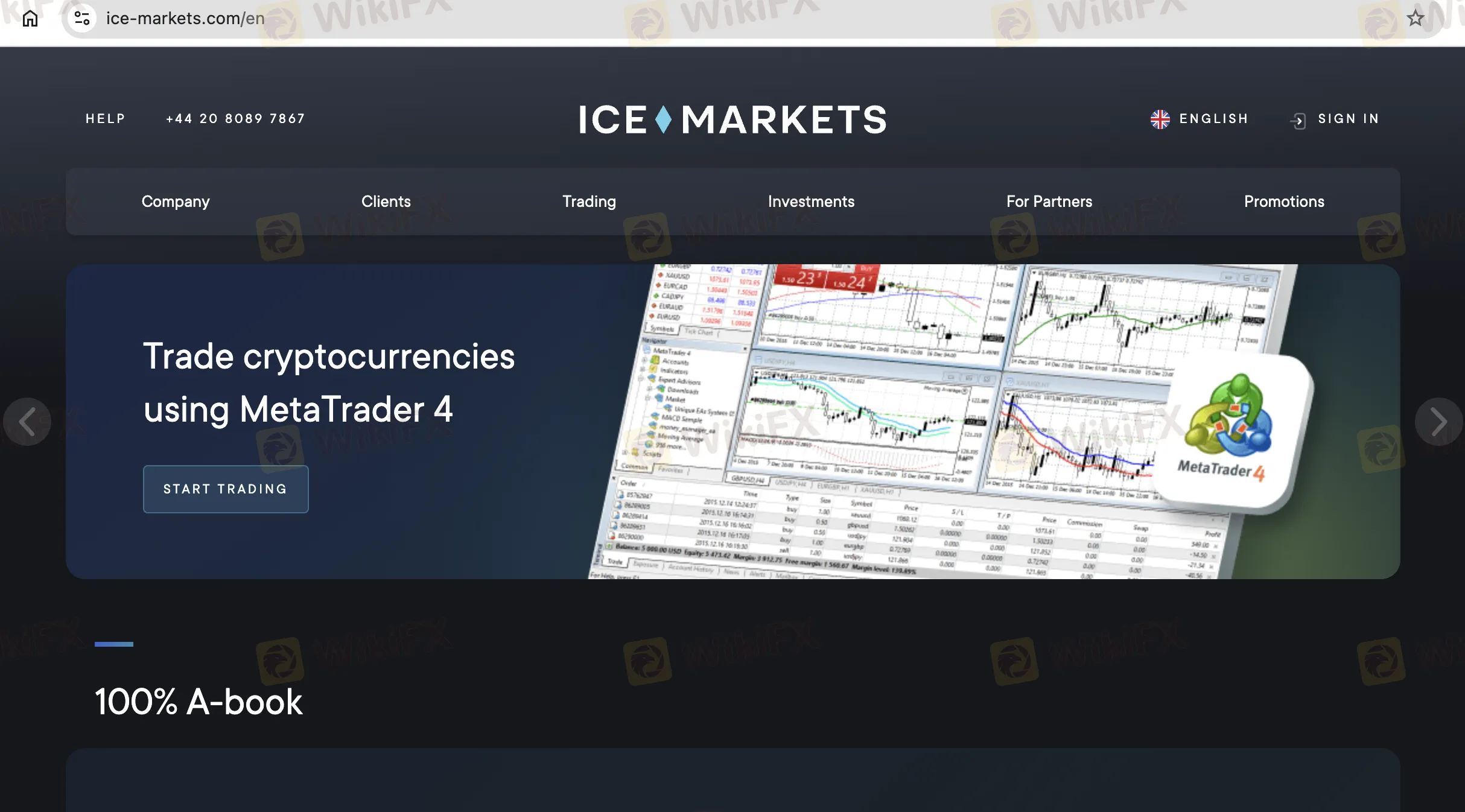 ICE Markets 정보