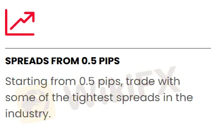 Phí của Bost Forex
