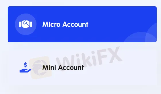 Account Types