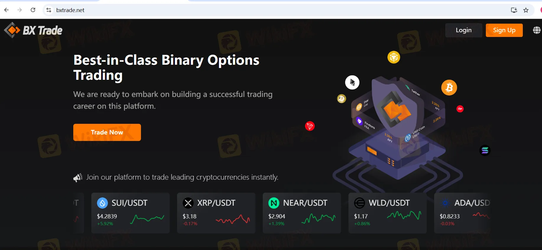 BX Trade जानकारी