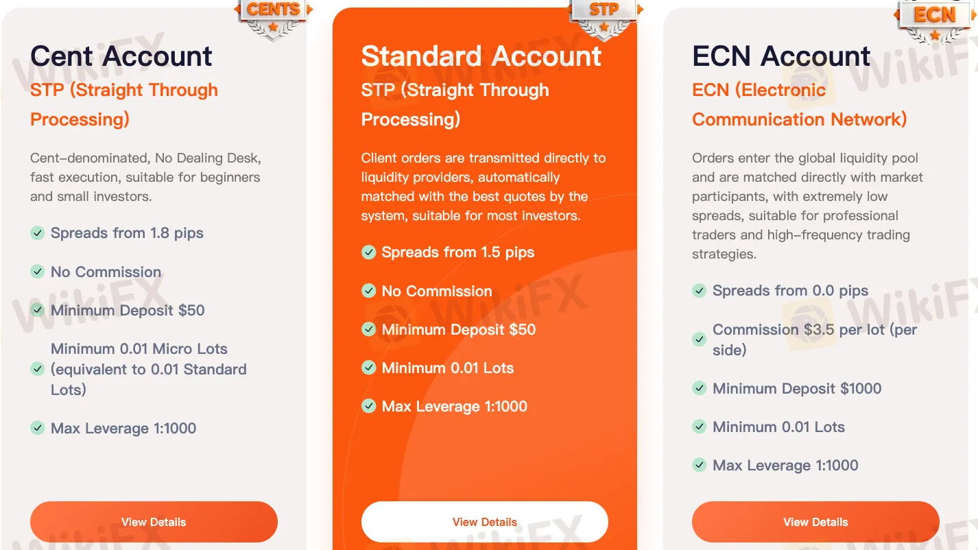 Account Type Account Type