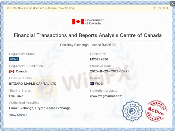 Is WCG Markets Legit? 