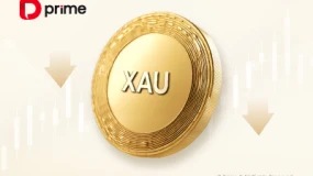 精彩活动 | D Prime XAUUSD 等产品点差全面下调📢