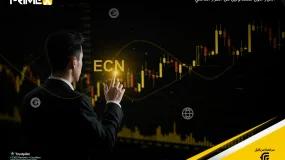 الميزة المهنية: نظرة متعمقة في تداول ECN مع برايم اكس كابيتال